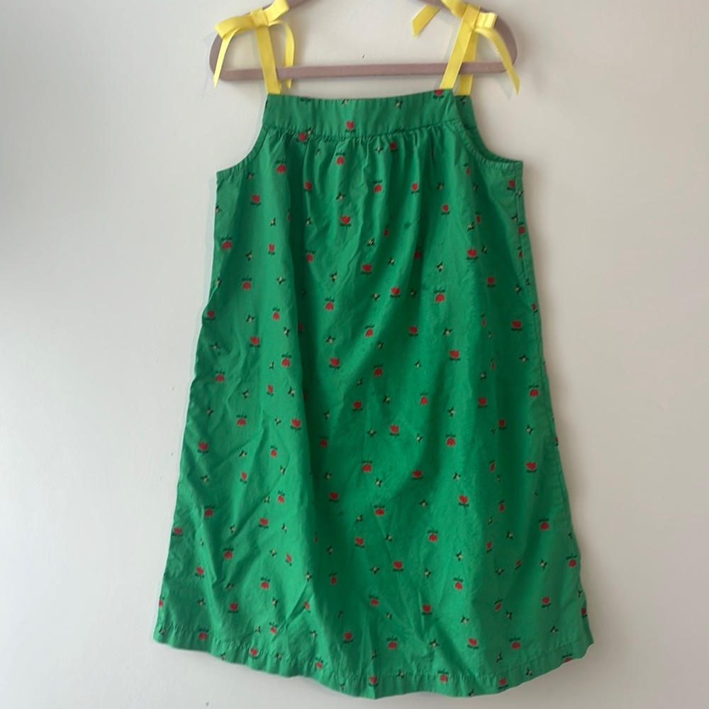Hanna Andersson Girls Green Tulip Bee Dress